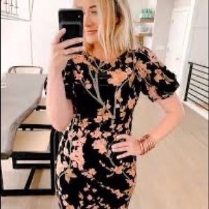 Kaley munday floral ivy city co dress